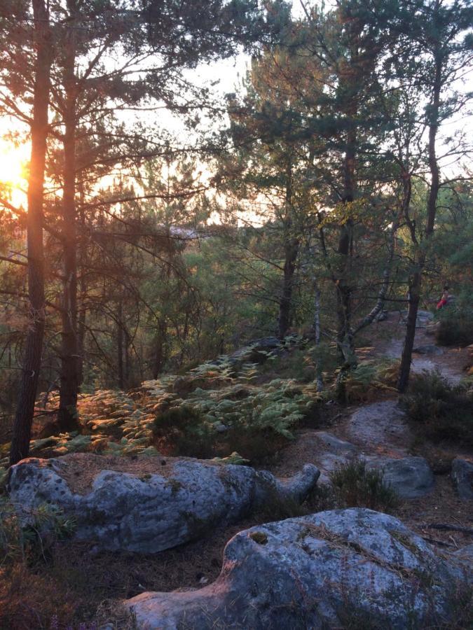 Chambres Au Coeur Du Massif Des Trois Pignons Noisy-sur-Ecole Eksteriør bilde